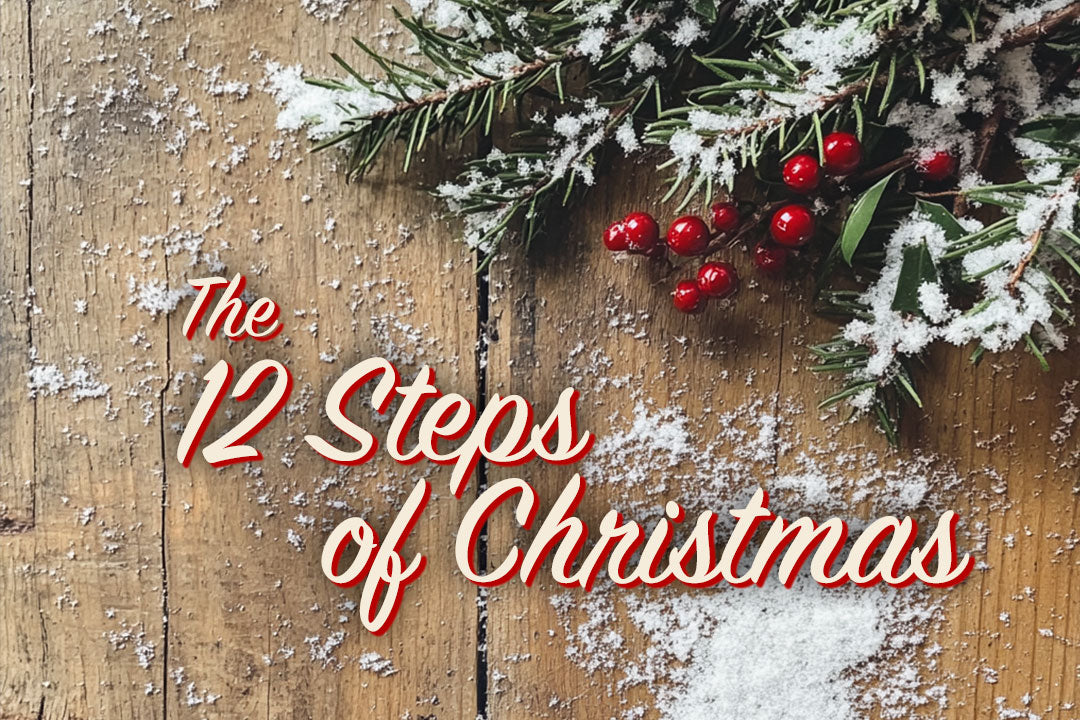 The 12 Steps of Christmas