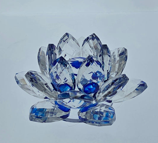 Blue Crystal Flower AA Coin Holder