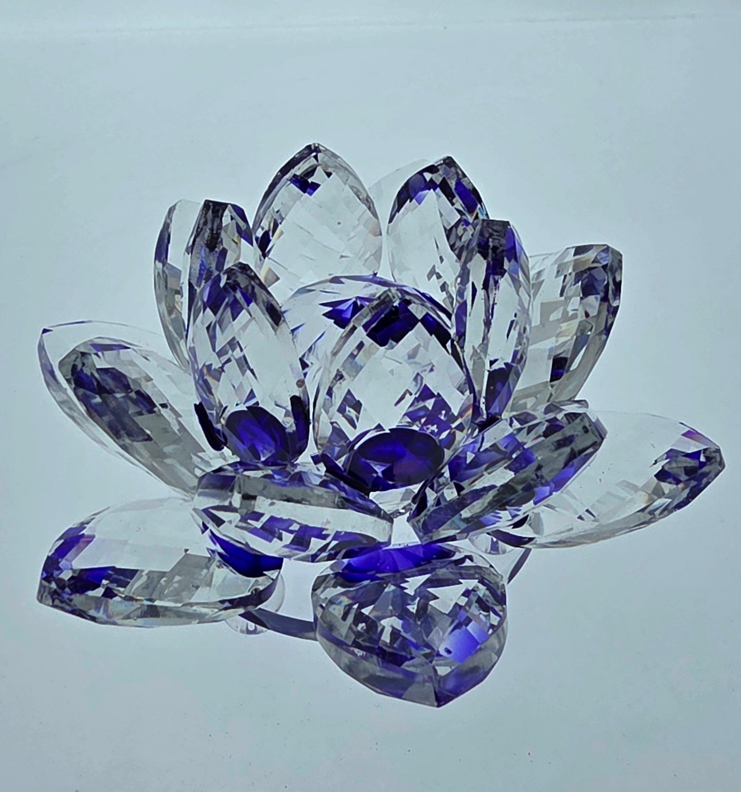 Purple Crystal Flower AA Coin Holder