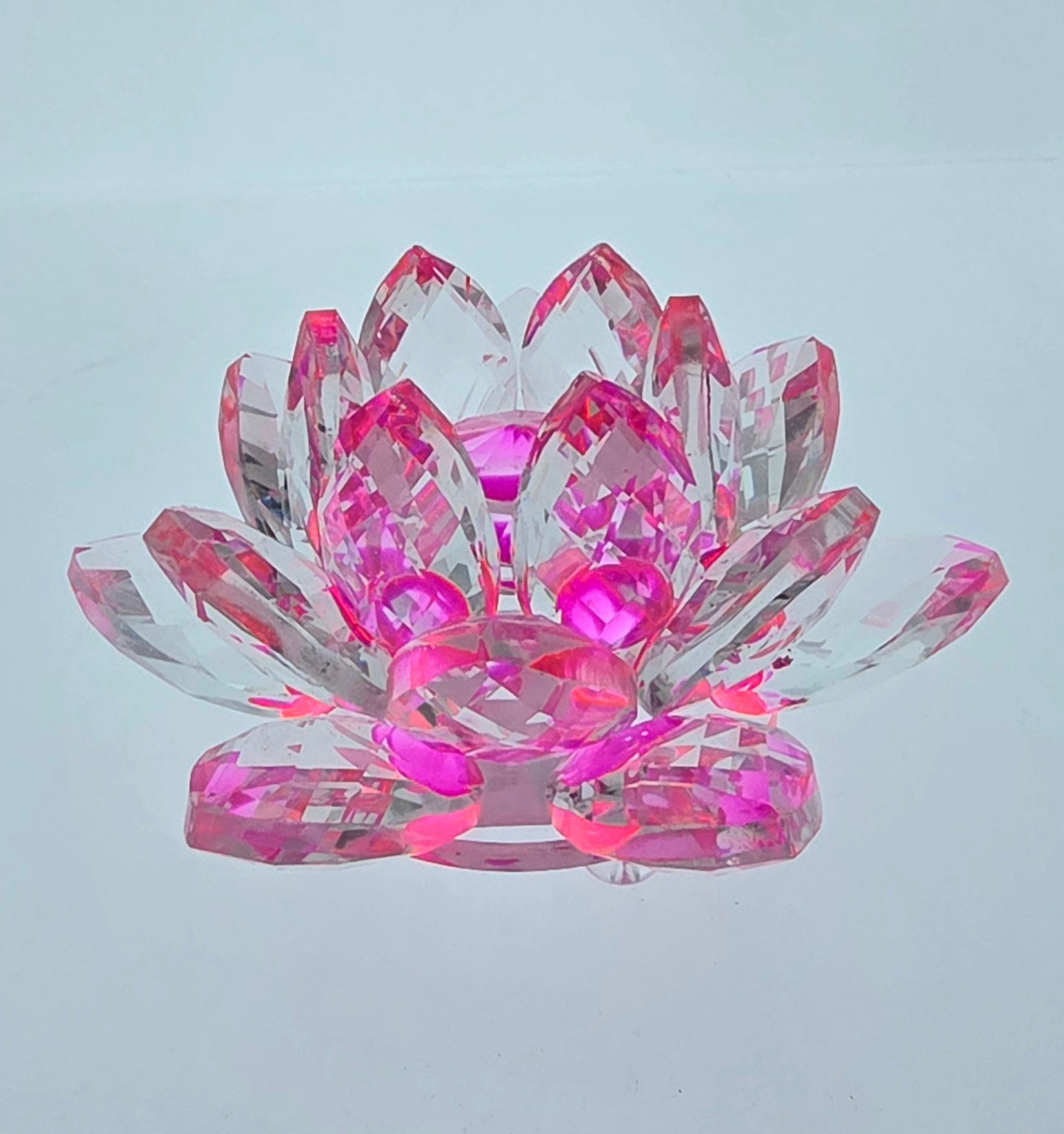 Pink Crystal Flower AA Coin Holder