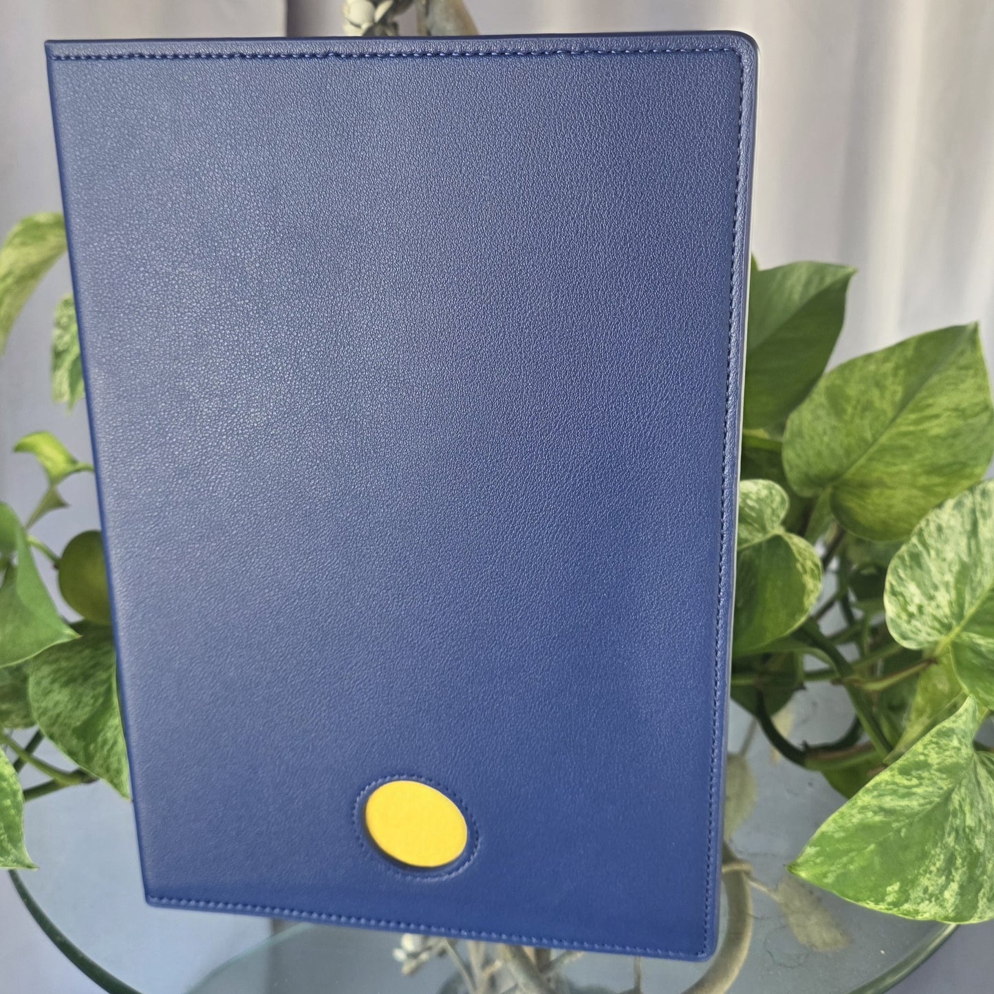 Blue Double AA Big Book Cover | Large Print Big Book & 12 and 12 Cover