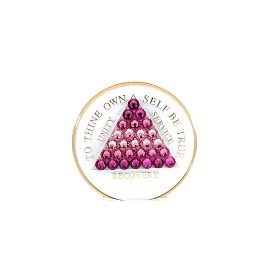 Hey Sis Abbey Fickley Crystalized Sobriety Coin