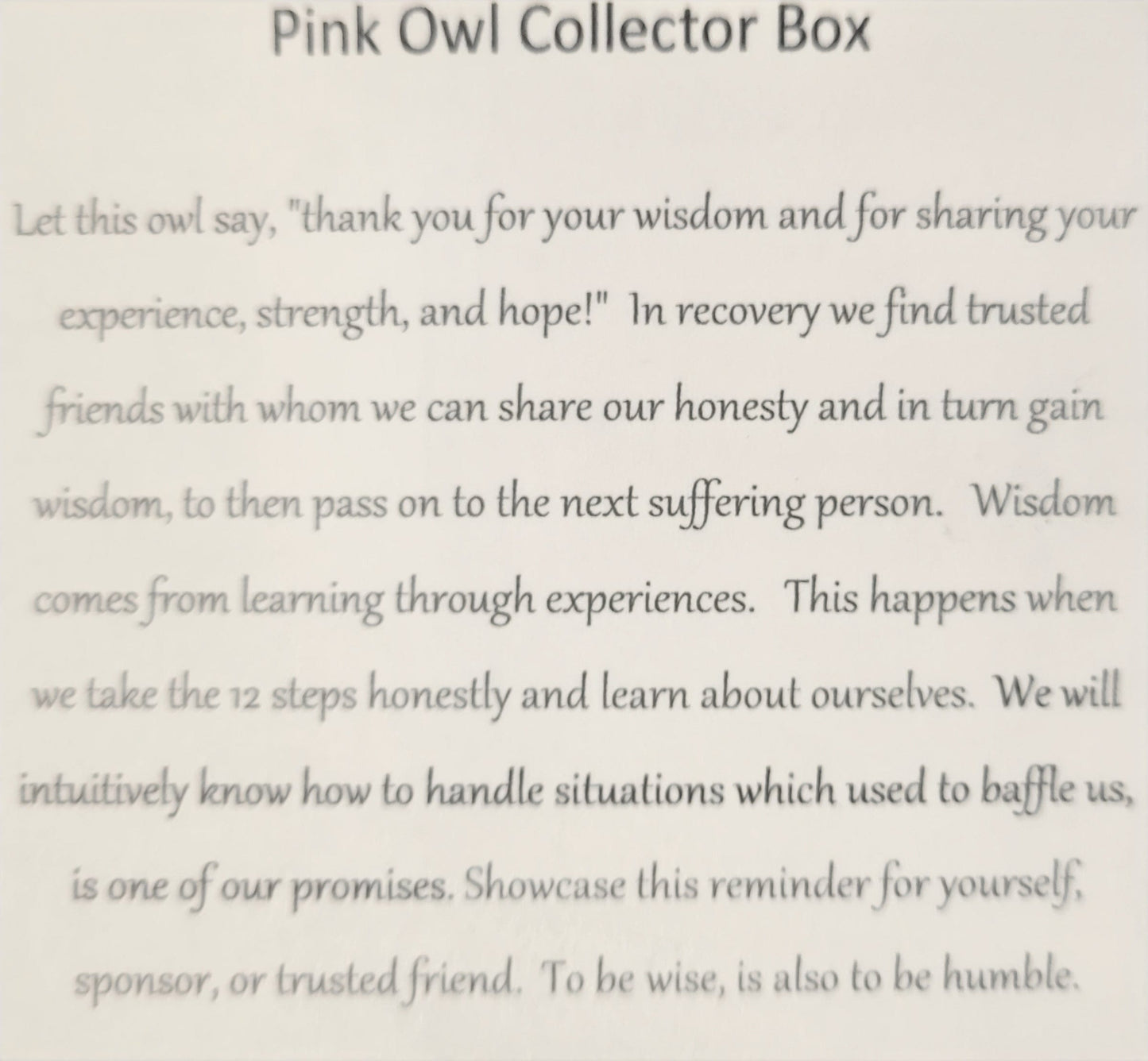 Pink Owl Bling Box/Sobriety Chip Holder (with Chip)