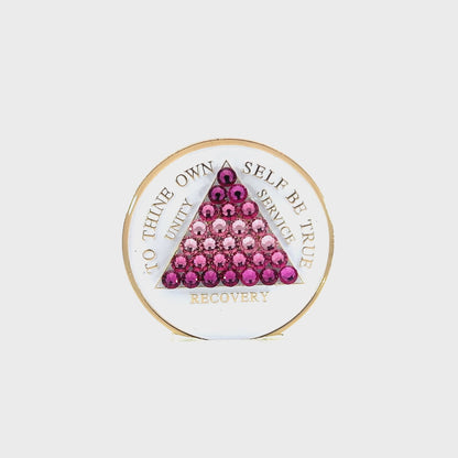 Hey Sis Abbey Fickley Crystalized Sobriety Coin