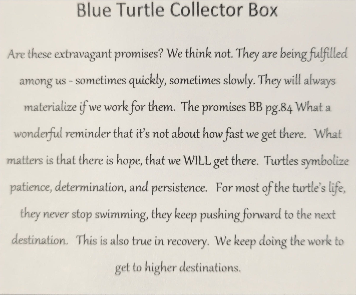 Sober Turtle Blue Collector Bling Box/Sobriety Chip Holder (With Chip)